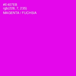 #E407EB - Magenta / Fuchsia Color Image